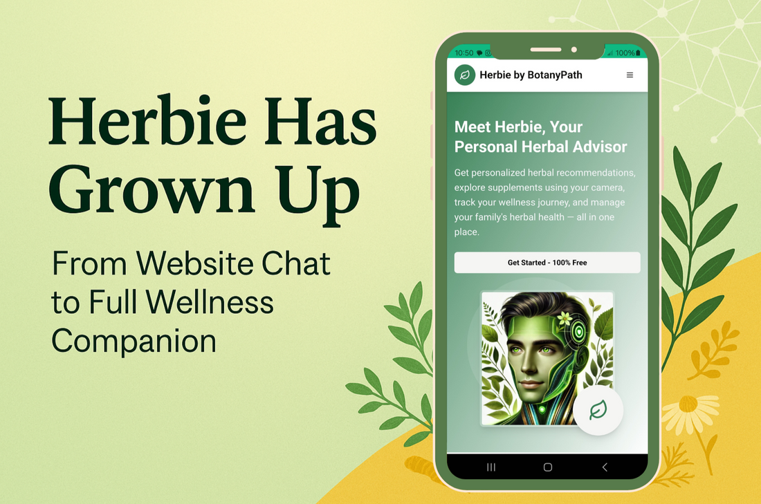 🌿 Herbie Has Grown Up: From Website Chat to Full Wellness Companion