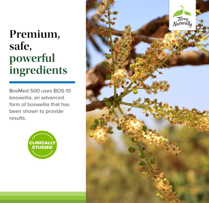 Terry Naturally BosMed 500 - Boswellia Serrata Extract Supplement - Dietary Supplement for Healthy Lung Support - Herbal Supplement Formula - 60 Softgels